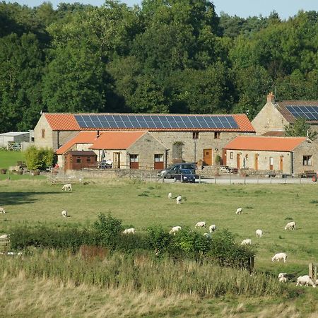 Villa Rawcliffe House Farm à Pickering Extérieur photo