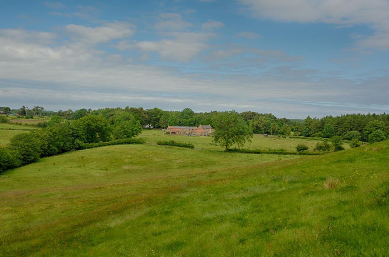 Villa Rawcliffe House Farm à Pickering Extérieur photo